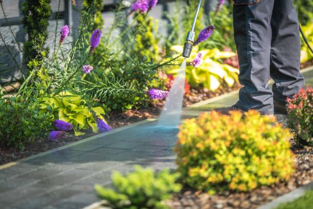 Trusted Arroyo Seco, NM  Pressure Washing Services Experts